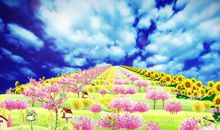 雨中鲜花，雨后彩虹