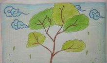 经风历雨方见彩虹