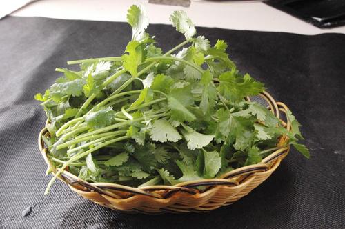 香菜的味道