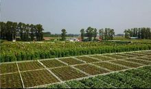 智慧农场中最美的合影