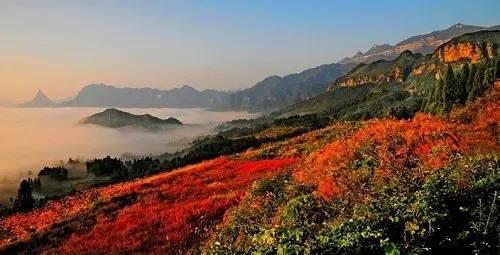 天云山的美景让我陶醉