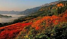 天云山的美景让我沉醉