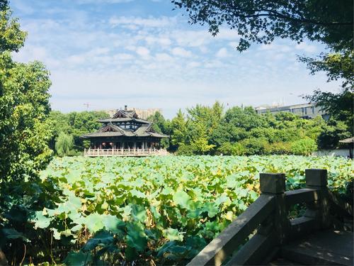 湖州飞鹰公园