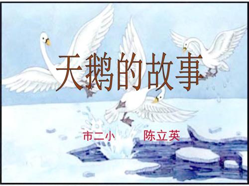 天鹅的故事