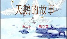 天鹅的故事