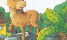 蜗牛开快递公司的童话