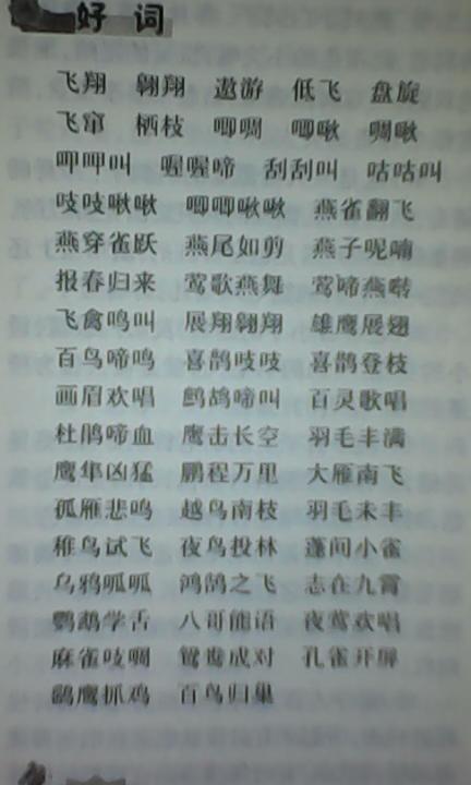 漂亮的话
