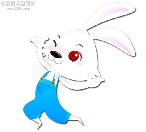 小白兔的启示