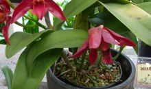 沉醉在手工制作的世界里