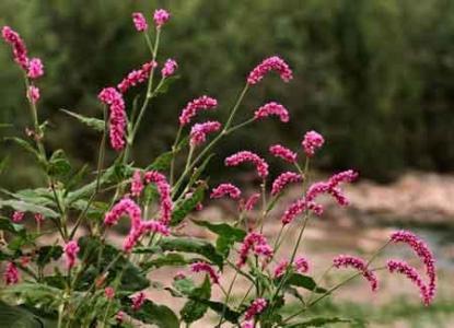 现在，我知道你的好