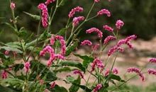 如今，才知道你的好