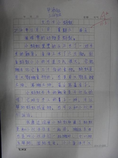 观察结果