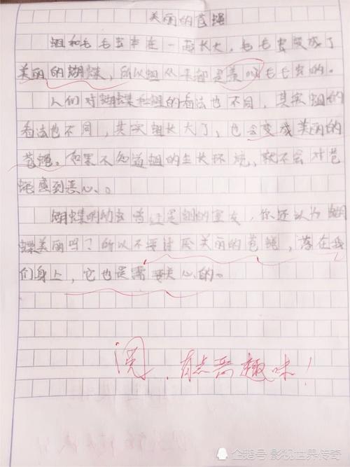 关于写蝇的观察成分