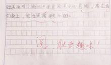 关于写苍蝇的观察作文