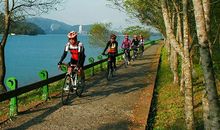 自行车上的风景