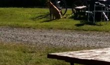 带着房子去旅行