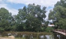 春天，美食家的节日