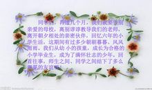 难忘的小学时光