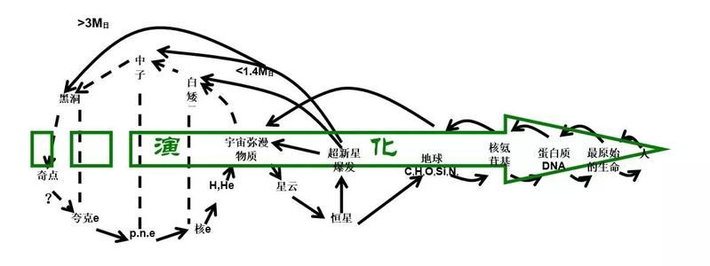 进化与退化