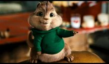 我是一只花栗鼠