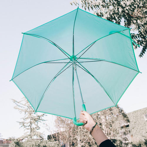 雨中的绿色