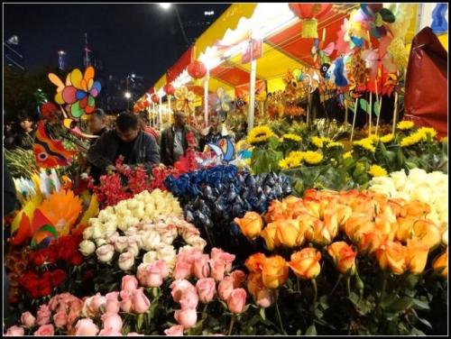 春节期间参观花卉市场