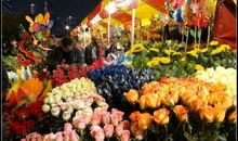 春节逛花市