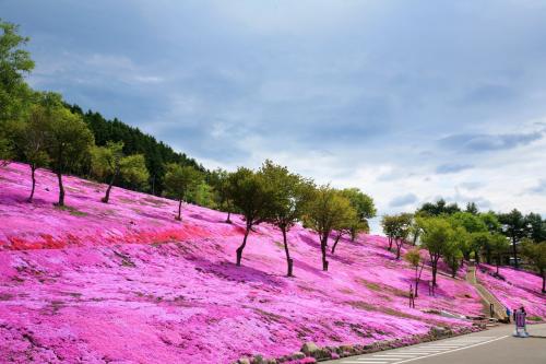 美丽的南山公园