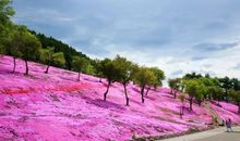 美丽的南山公园