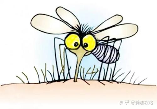 我变成了大蚊子