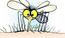 我变成了大蚊子