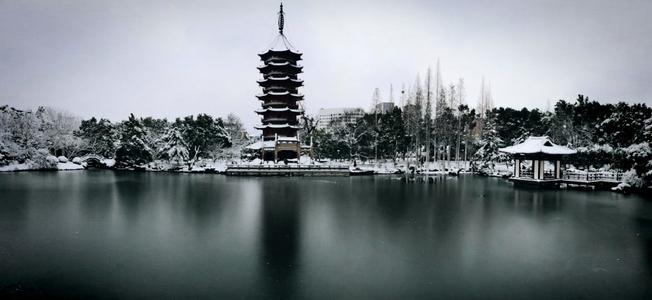 美丽的飞鹰公园