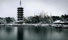 美丽的飞英公园