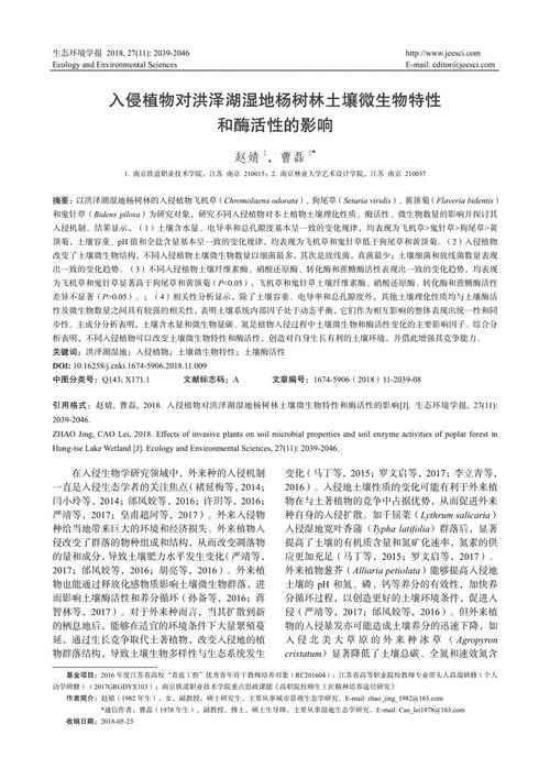 2039年的一天