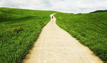 从来没有忘记那一条乡间小路