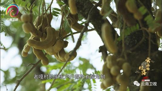 过去很不寻常