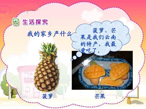 故乡菠萝