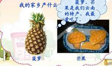 家乡的菠萝