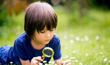 羡慕别人家孩子的孩子