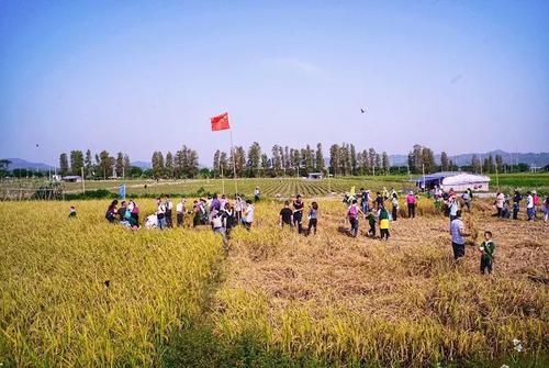 终于收获了风景
