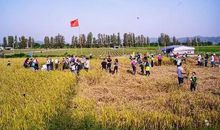 终于收获了那片风景