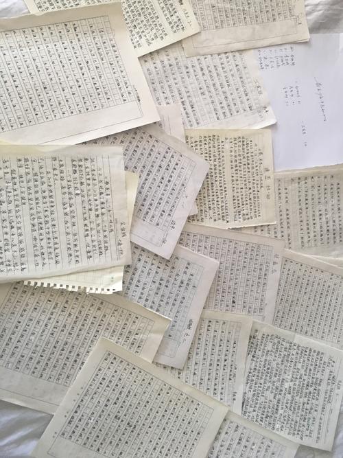 我是一个孝顺的年轻人