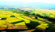 我美丽的田园家乡