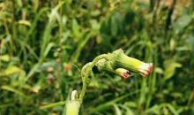 以直报怨以德报德作文立意