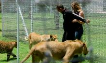 参观野生动物园