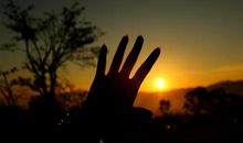 触摸阳光的忧伤