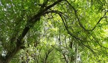 当我面对离别的时候