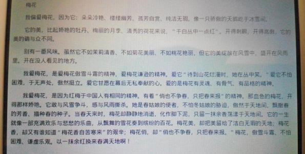 组成描述进食阶段