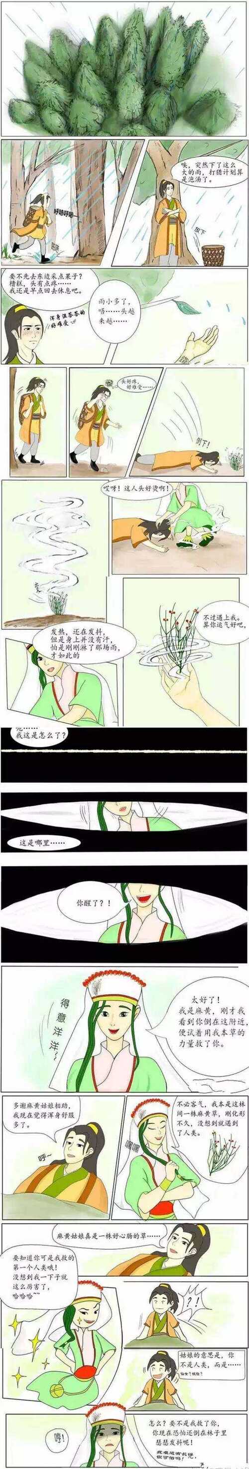 小学生中草药成分