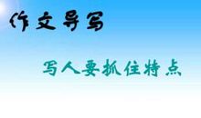 写人特点